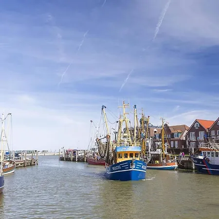 Stedesdorf, 'nordsee-wattwurm' *